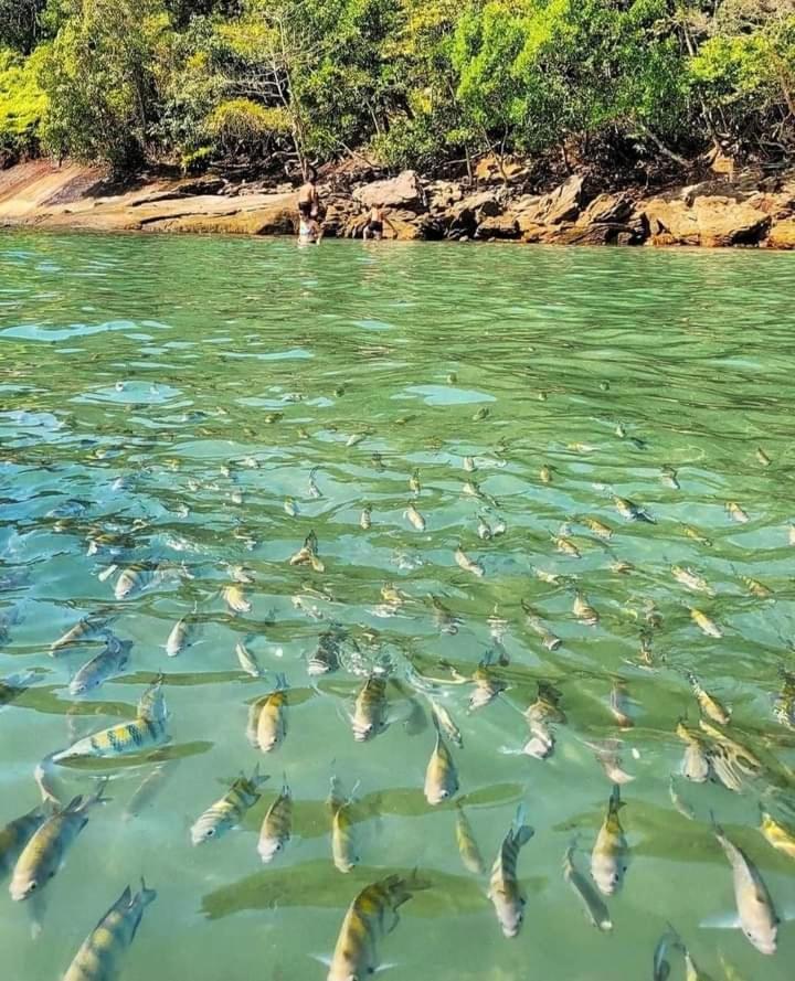 Grande Casa Nova 5d Casa de férias Ubatuba